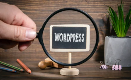 How to Start WordPress Themes and Plugin Creation Services Business How to Start WordPress Themes and Plugin Creation Services Business