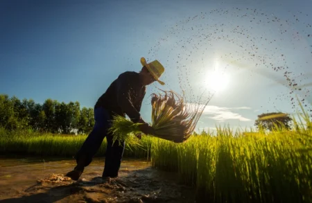 5 Essential Tips for Negotiating a Farming Business Tenancy