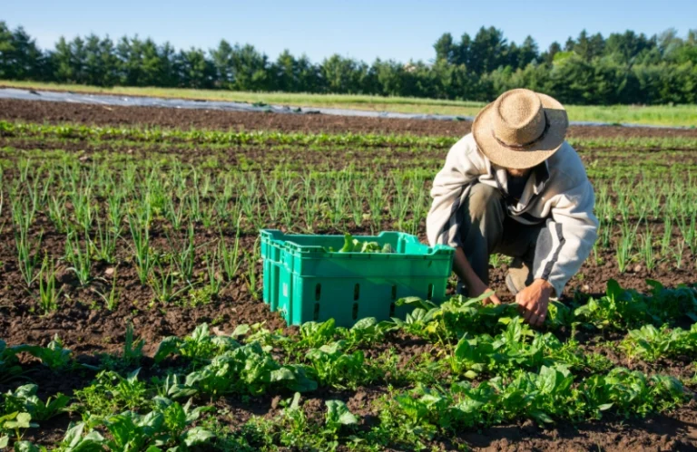 How to Start a Farming Business Farming business tenancy, Farming business plan.