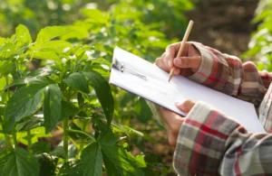 Legal Tips for Farming Tenancy Success Farming business tenancy, Legal considerations tenancy.