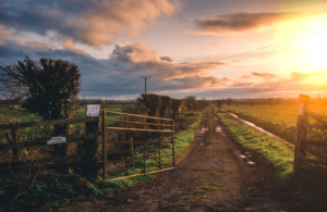 How Farming Business Tenancy Boosts Your Farm How Farming Business Tenancy Boosts Your Farm