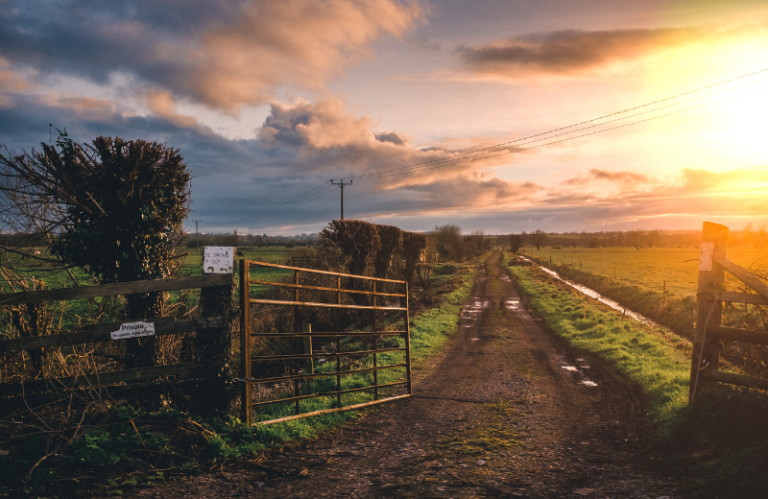 How Farming Business Tenancy Boosts Your Farm How Farming Business Tenancy Boosts Your Farm